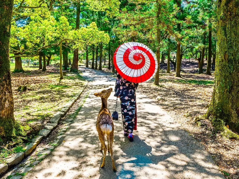 Tour Giappone Tra Tkyo e Kyoto